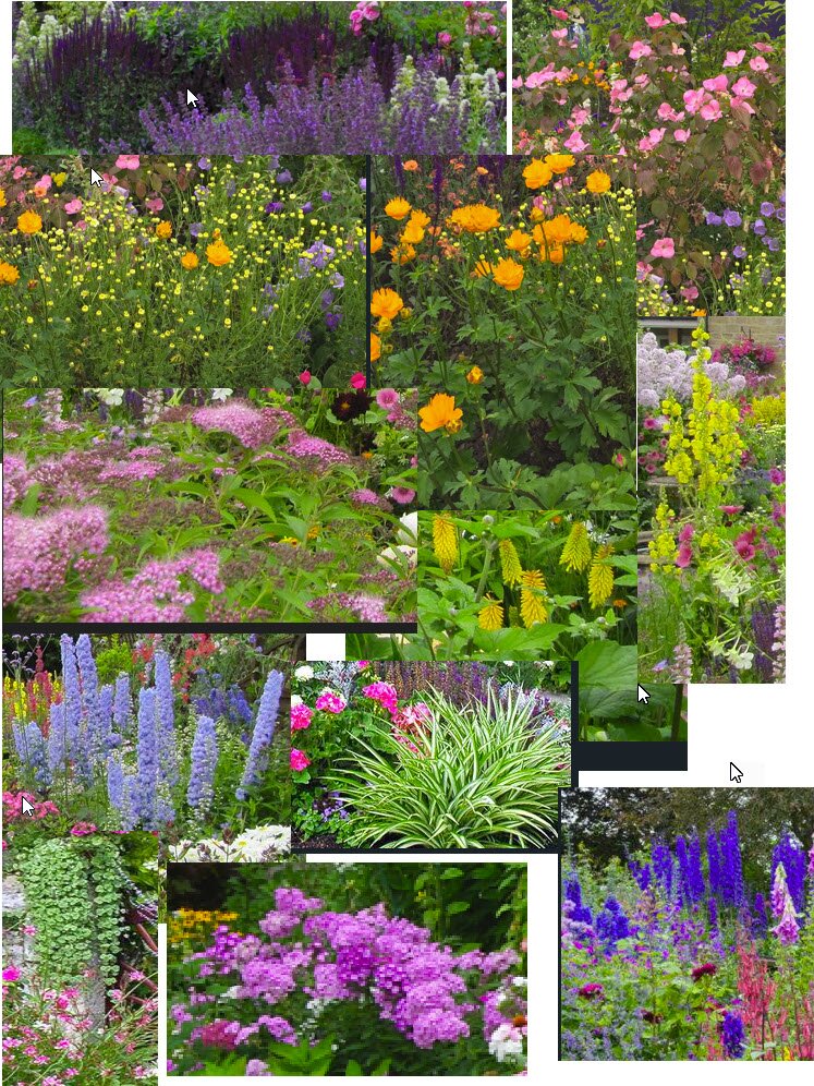 Flower reference collage