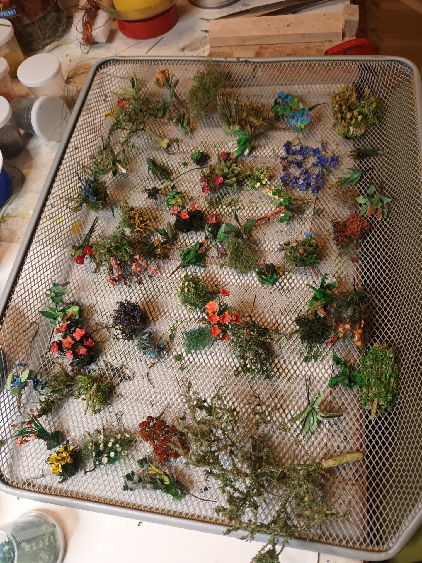 Plant collection ready