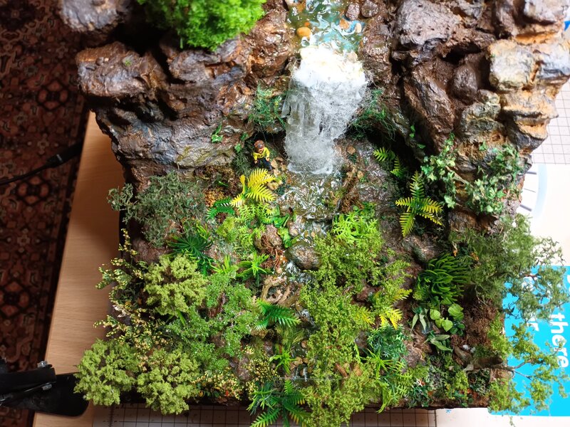 Pathway through vegetation