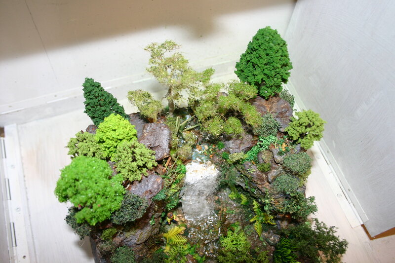 Complete woodland scene showing tree variety