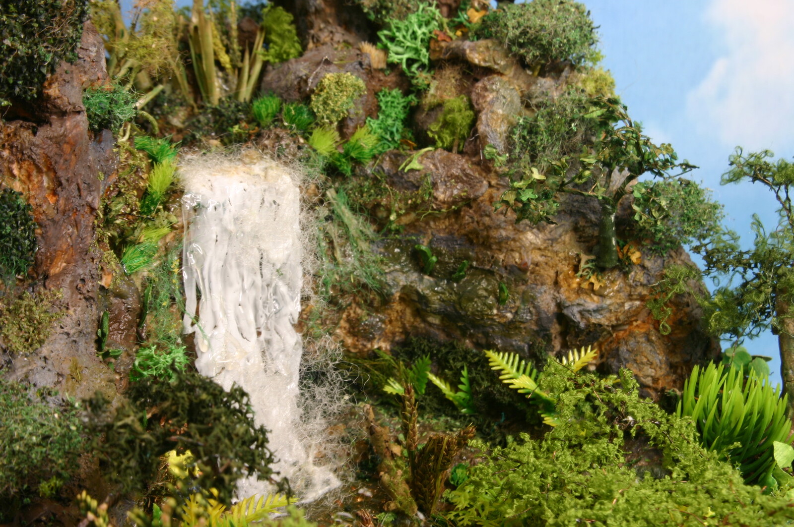 Moss and fern detail