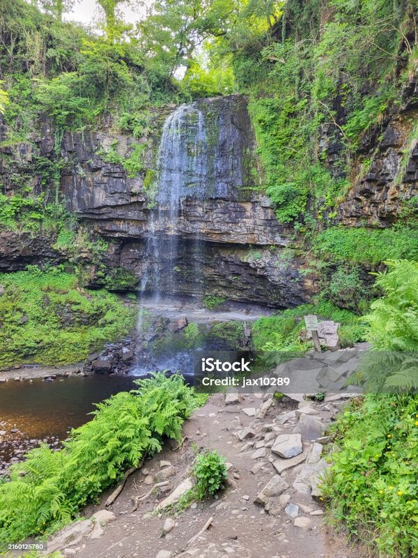 Completed vegetation integration