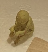 First figure attempt