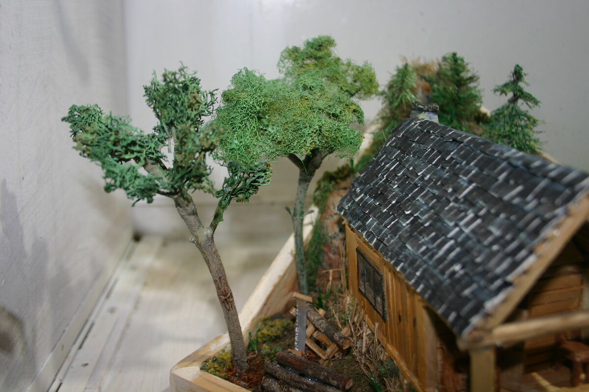 Tall trees behind house