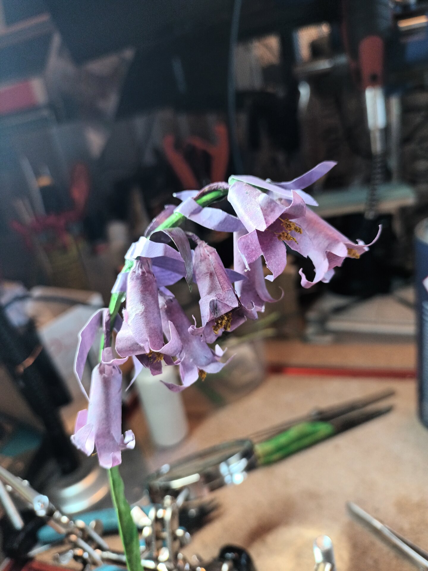 Bluebells construction