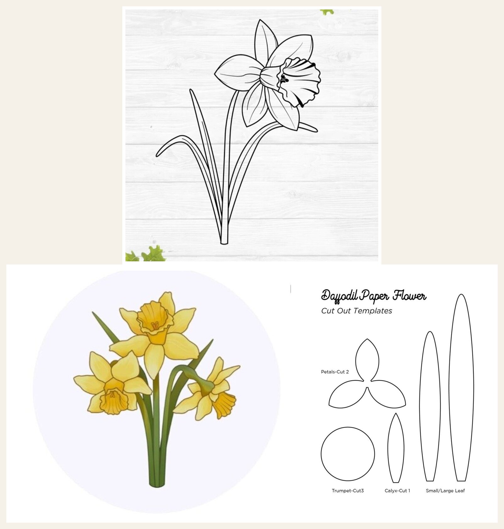 Daffodil Templates Planning