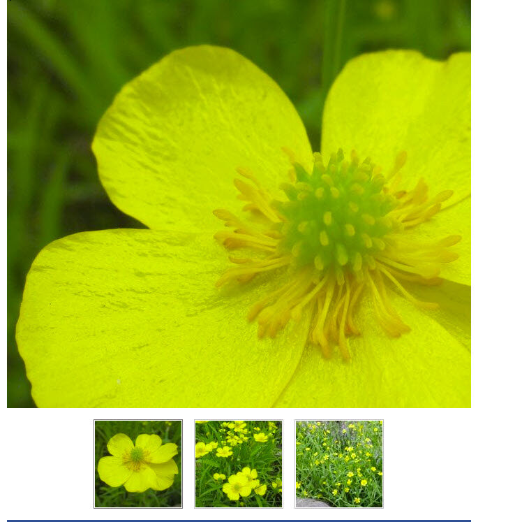 Extensive planning work