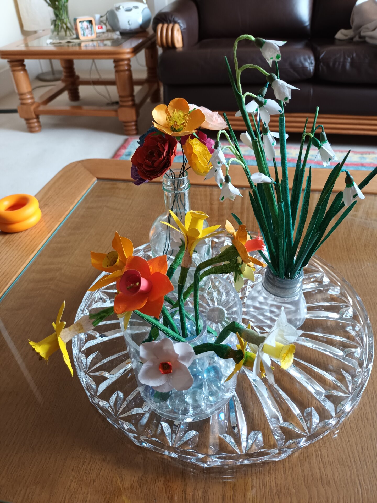 Plant Displays Series