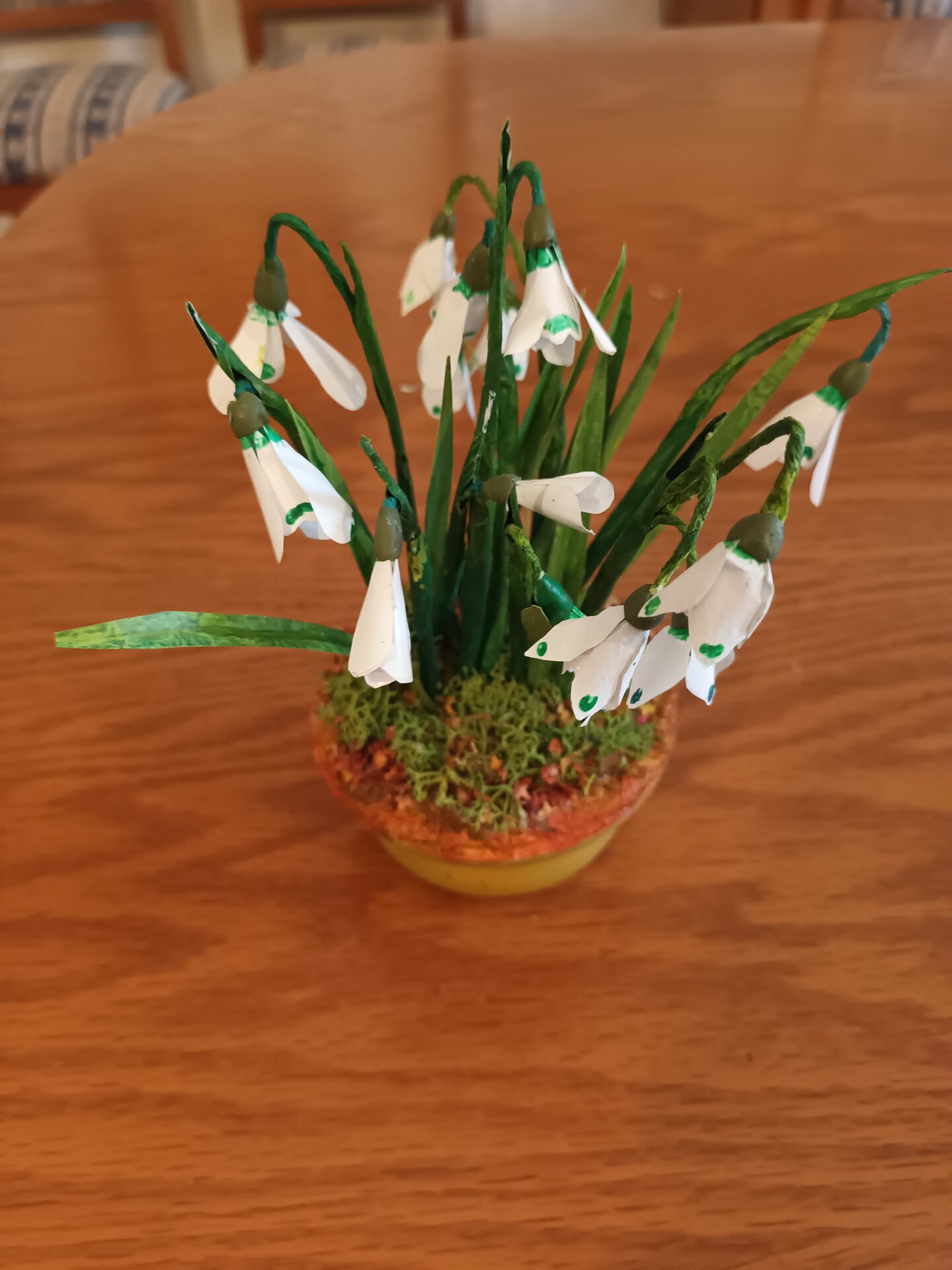 Plant Displays Series